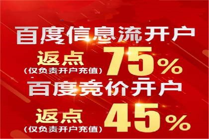 案例分析：托管SEM竞价助力电商旺季促销